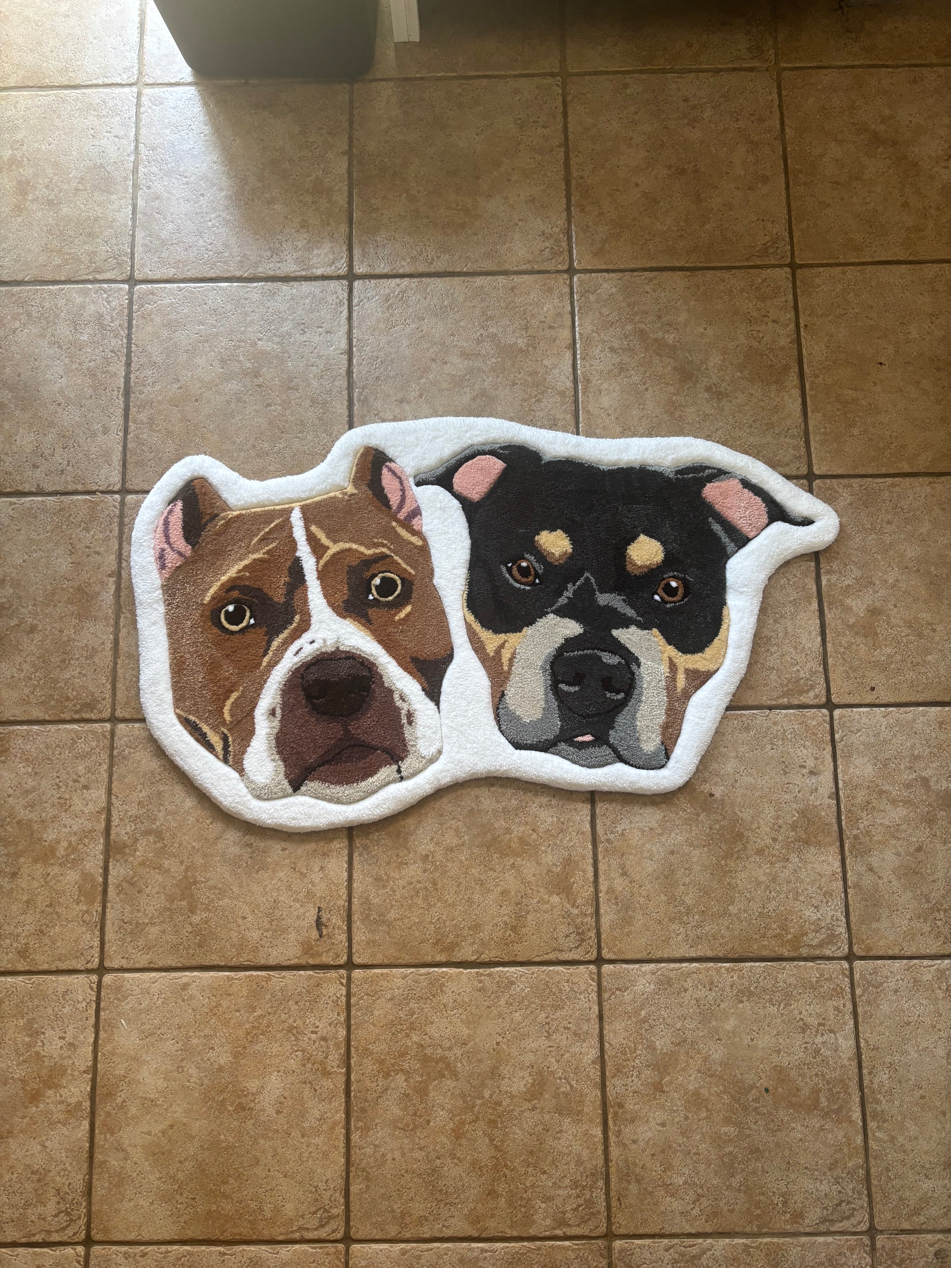 Custom Pet Rug
